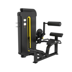 Svensson Industrial H3031 Matte Black Разгибание спины из каталога грузоблочных тренажеров в Москве по цене 79990 ₽
