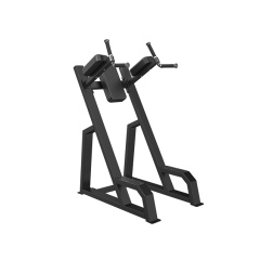 Svensson Industrial E3047 Matte Black из каталога стоек турник брусья-пресс в Москве по цене 46990 ₽
