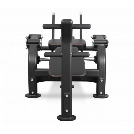 Рендер-5 для Bronze Gym PL-1720 Пресс-скамья