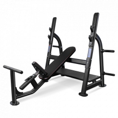 Bronze Gym BR-1014 наклонная из каталога скамей со стойкой в Москве по цене 120990 ₽