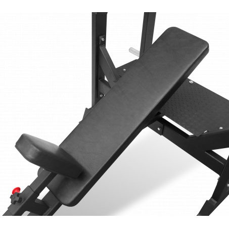 Рендер-3 для Bronze Gym AL-305 наклонная
