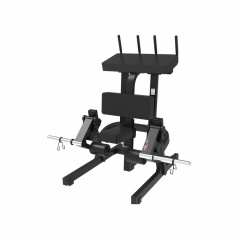UltraGym UG-714 из каталога тренажеров на свободных весах в Москве по цене 149405 ₽