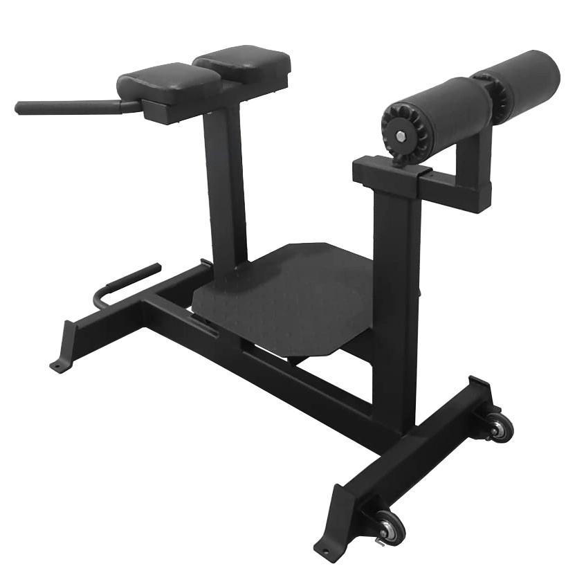 Bronze Gym AL-920 тренажеры для мышц спины