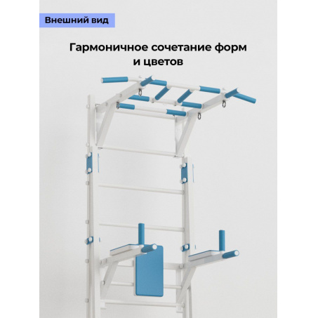 Рендер-4 для BarFits New Age X2 (с опорой на пол) Premium line