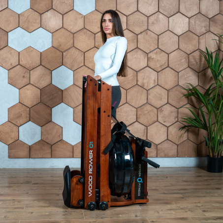 Рендер-10 для Oxygen Wood Rower Q1