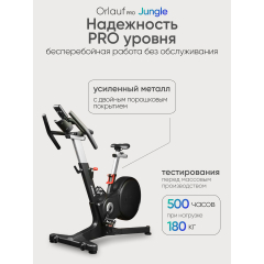 17 слайд галлереи