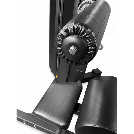 Рендер-2 для Bronze Gym ML-813 Разгибание спины
