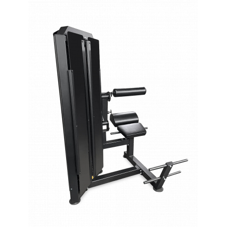 Рендер-1 для Bronze Gym ML-813 Разгибание спины