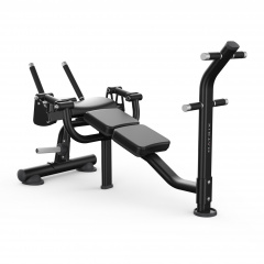 Matrix Magnum MG-PL50 - скамья для скручивания из каталога тренажеров на свободных весах в Москве по цене 301750 ₽