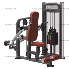 AeroFit IT9317 - трицепс сидя из каталога грузоблочных тренажеров в Москве по цене 160570 ₽