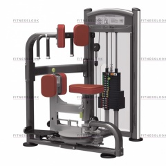 AeroFit IT9318 - вращение торса из каталога дисков для штанги с посадочным диаметром 50 мм. в Москве по цене 194990 ₽