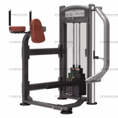 AeroFit IT9326 - ягодичные мышцы из каталога грузоблочных тренажеров в Москве по цене 132350 ₽