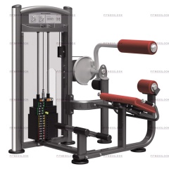 AeroFit IT9332 - разгибание спины из каталога грузоблочных тренажеров в Москве по цене 205200 ₽