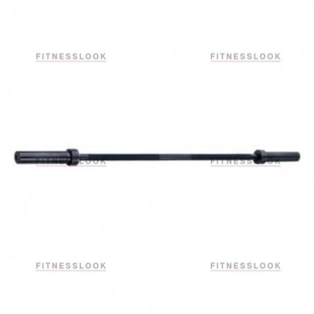 Рендер-2 для Body Solid 79 кг OB60B79