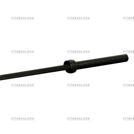 Рендер-3 для Body Solid OB86B
