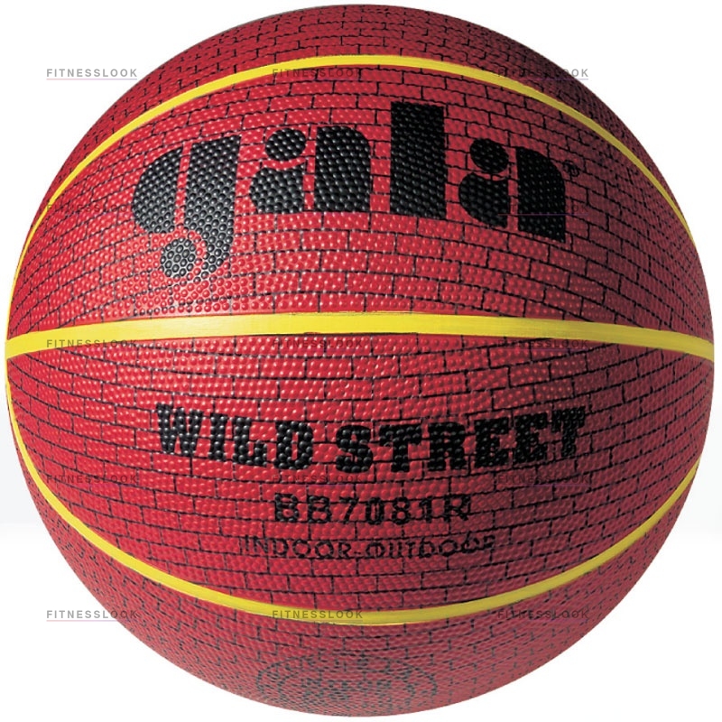 Gala Wild Street 7 из каталога баскетбольных мячей в Москве по цене 990 ₽