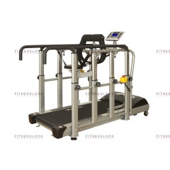 LW1000 в Москве по цене 615000 ₽ в категории беговые дорожки Spirit Fitness