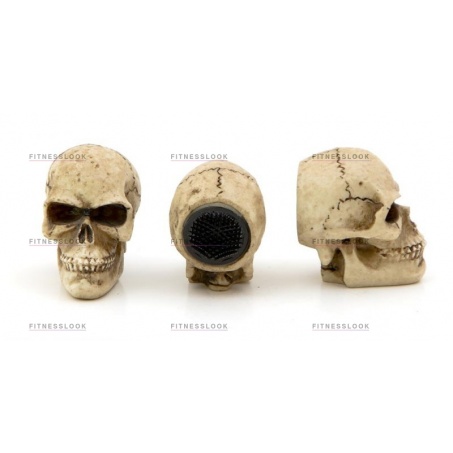 Рендер-1 для Weekend Махровка Dead Stroke Skull