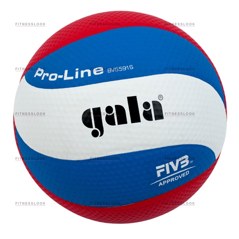 Pro-line в Москве по цене 3030 ₽ в категории баскетбольные мячи Gala