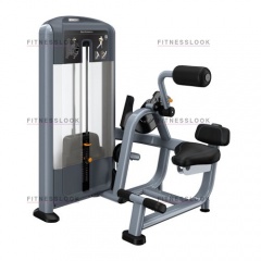 Precor DSL313 - разгибание спины из каталога грузоблочных тренажеров в Москве по цене 444810 ₽