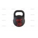 UFC - 28 kg вес, кг - 28