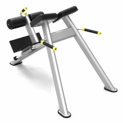 Protrain 61A43 из каталога гиперэкстензий в Москве по цене 74040 ₽